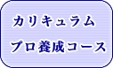カリキュラム プロ養成コース